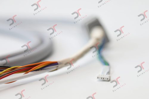 CX4A8927-scaled-1.jpg